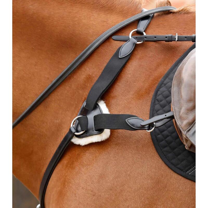 Collier de chasse pour cheval 5 points Premier Equine Invorio