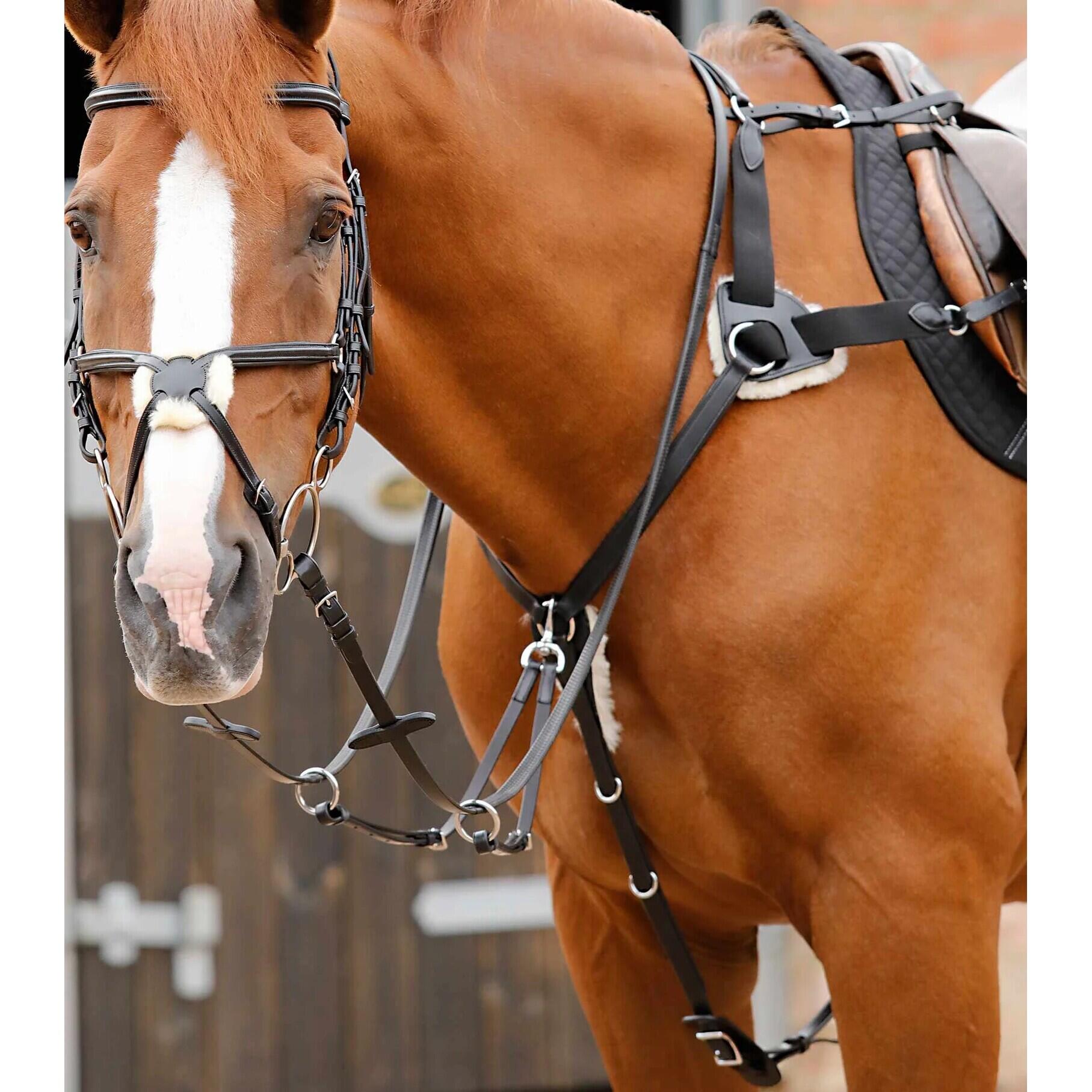 Collare da caccia per cavalli a 5 punte Premier Equine Invorio 2/4