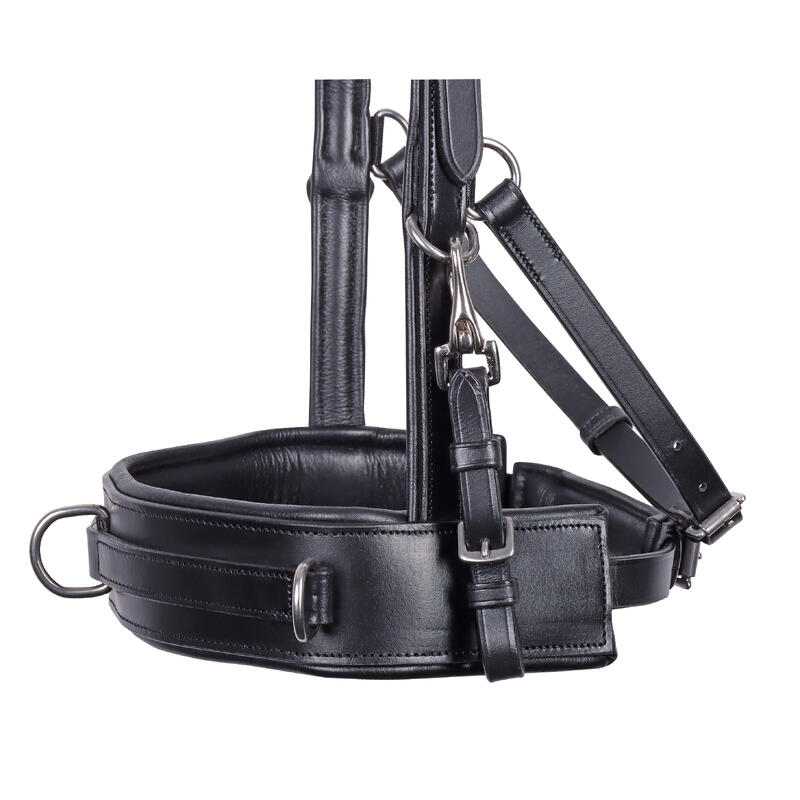 Caveçon bridon pour cheval cuir Harry's Horse Comfort