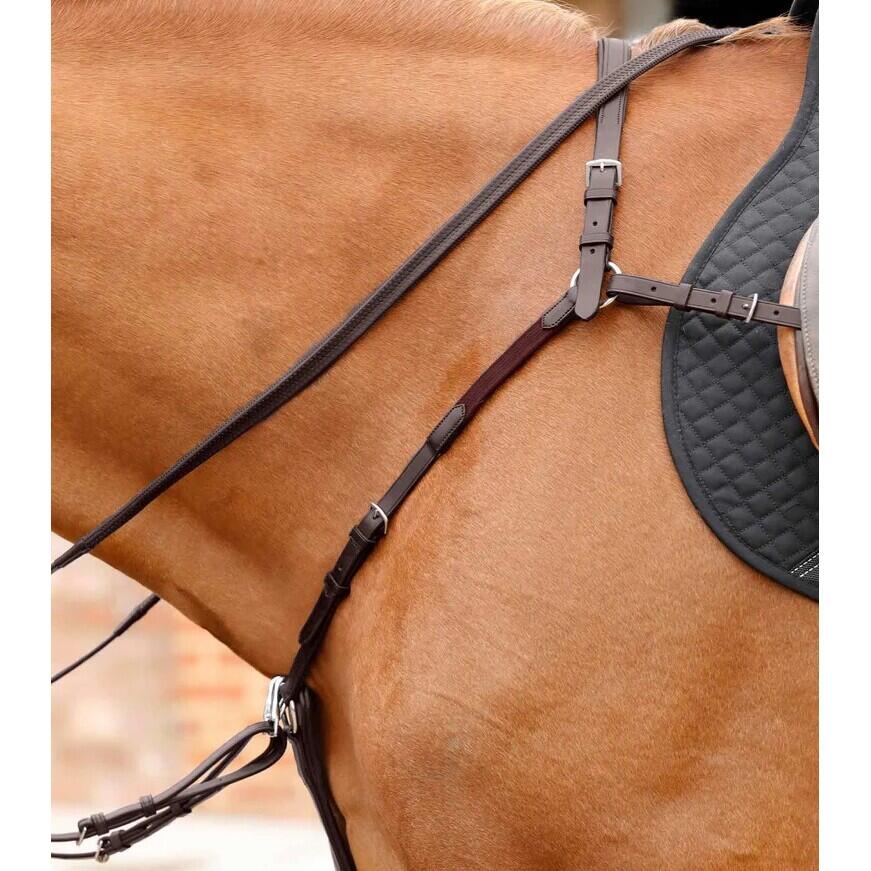 Collare da caccia per cavalli Premier Equine Valbrona Performance 3/6