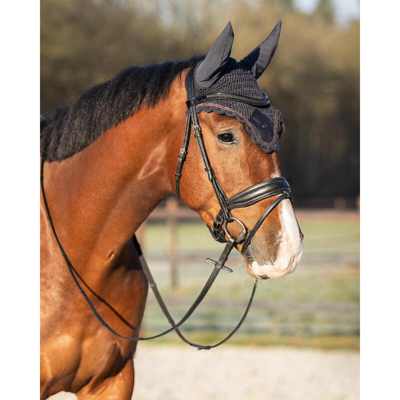 Bonnet pour cheval QHP Hailyn