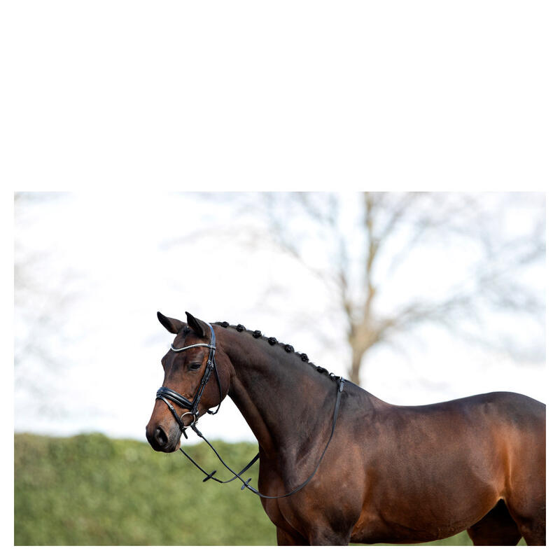 Bridons équitation serre-nuque façonné avec épingles ANKY