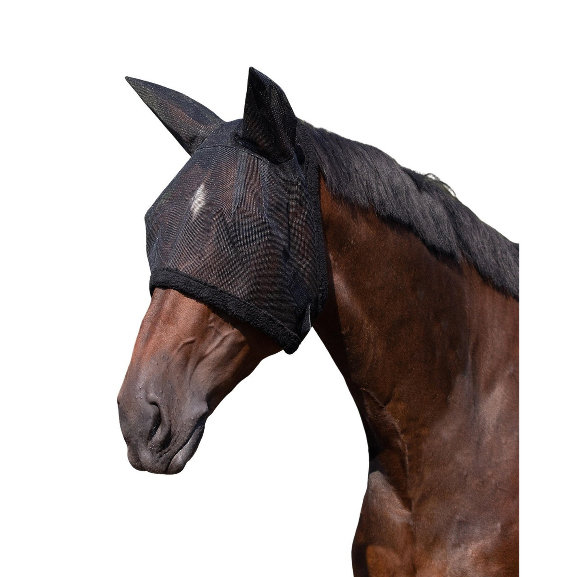 Qhp - Masque Anti-mouches Pour Cheval Q-essentials Fly - Masque Anti Mouche - Noir - Ps - Decathlon
