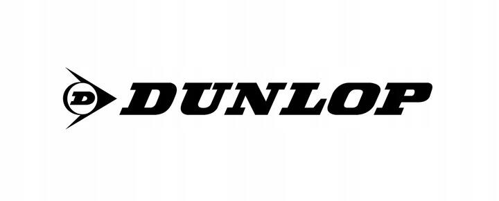 Rete da pallavolo e badminton Dunlop 609x220 cm 6/7