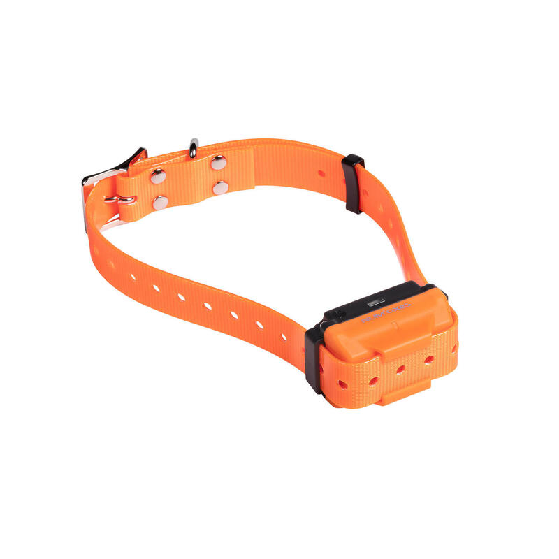 Ensemble d'éducation rechargeable pour chien - CANICOM R-500