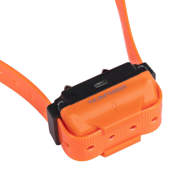 Collier de dressage pour chien rechargeable - Canicom R sangle orange