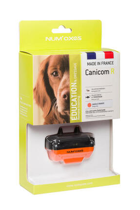 Collier de dressage pour chien rechargeable - Canicom R sangle orange