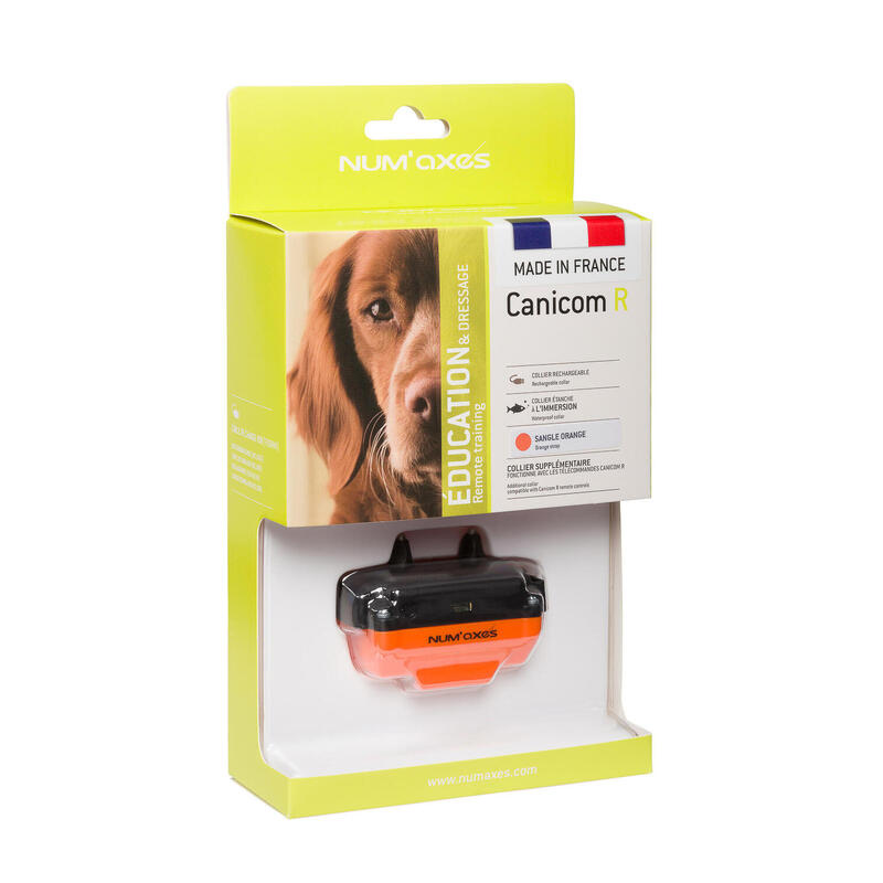 Collier de dressage pour chien rechargeable - Canicom R sangle orange
