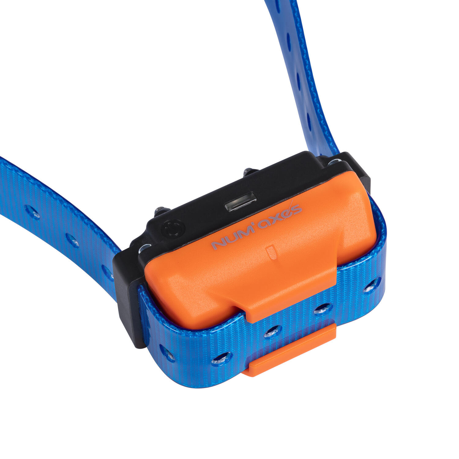 Collier de dressage pour chien rechargeable - Canicom R sangle bleue 3/3