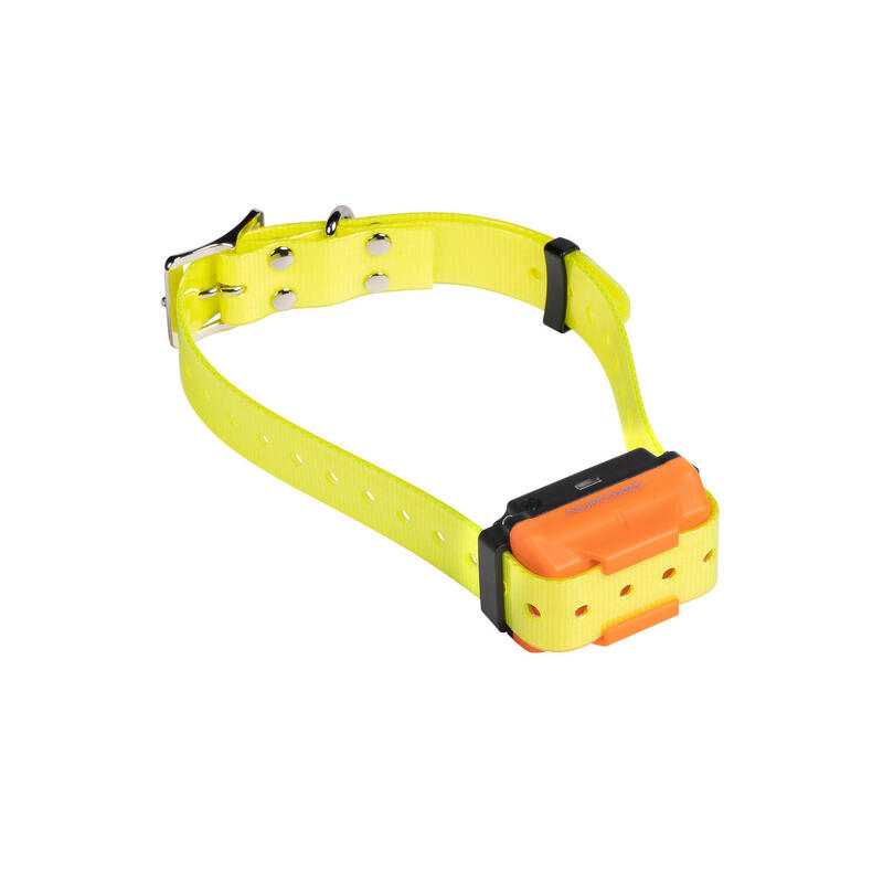 Collier de dressage pour chien rechargeable - Canicom R sangle jaune