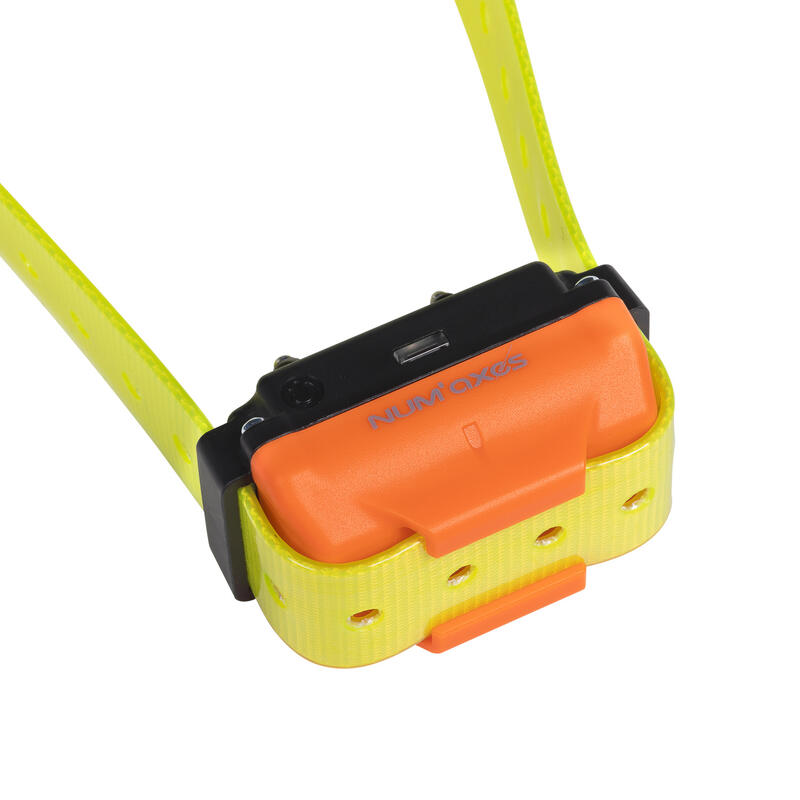 Collier de dressage pour chien rechargeable - Canicom R sangle jaune