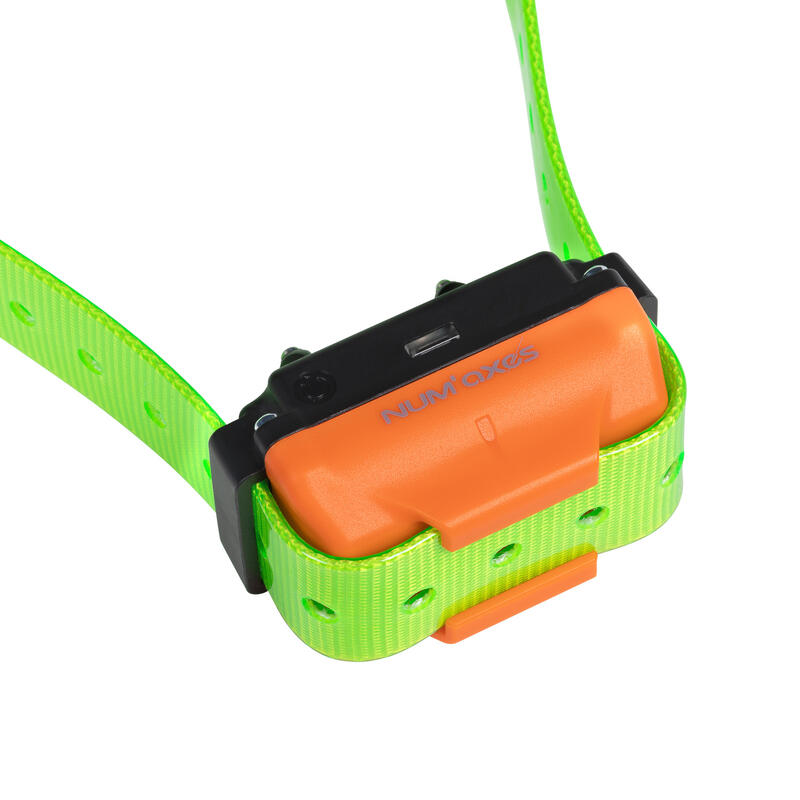 Collier de dressage pour chien rechargeable - Canicom R sangle vert fluo