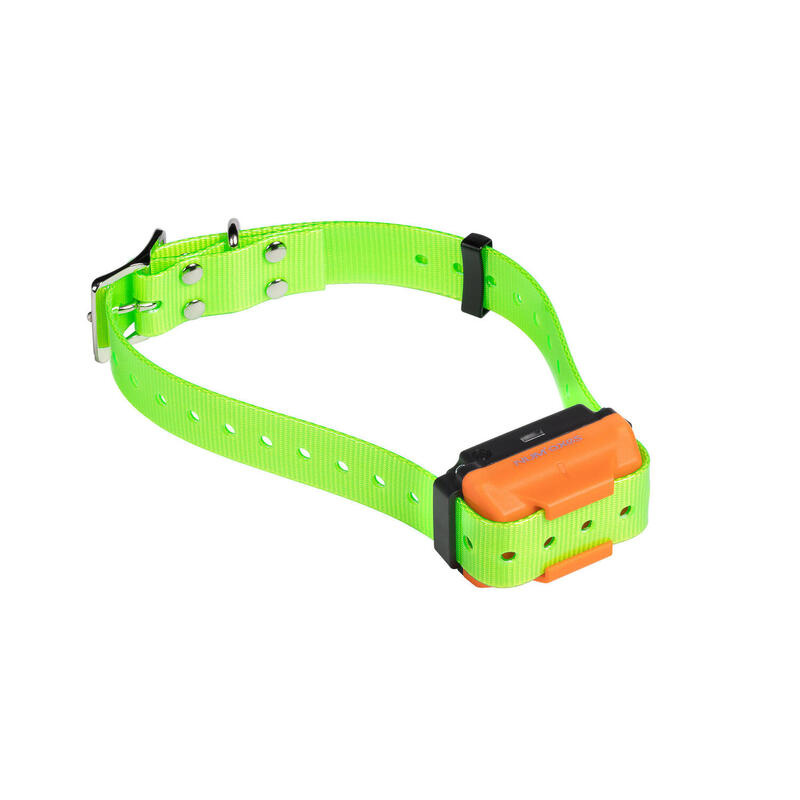 Collier de dressage pour chien rechargeable - Canicom R sangle vert fluo