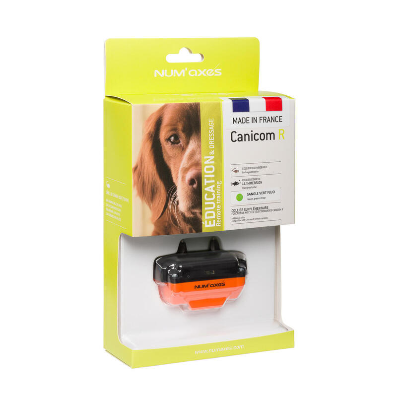 Collier de dressage pour chien rechargeable - Canicom R sangle vert fluo