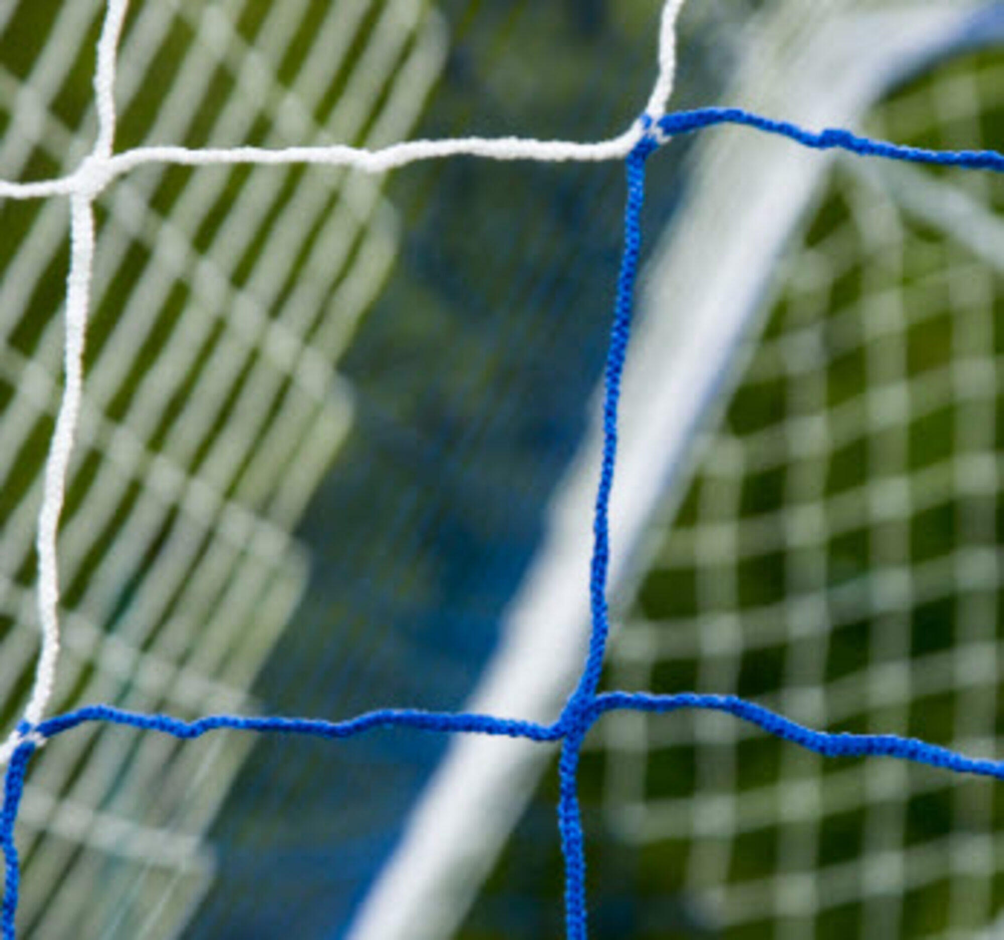 Rete da calcio a 11 da 4mm - Bianca e blu - 7,32 x 2,44 x 2 x 2 m 2/4