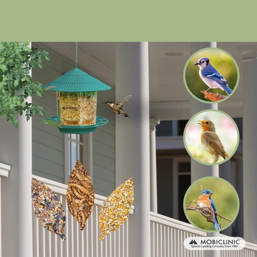 Mangiatoia per uccelli selvatici 1,2 L Outdoor 20 x 22 x 20 Giardino 6/7