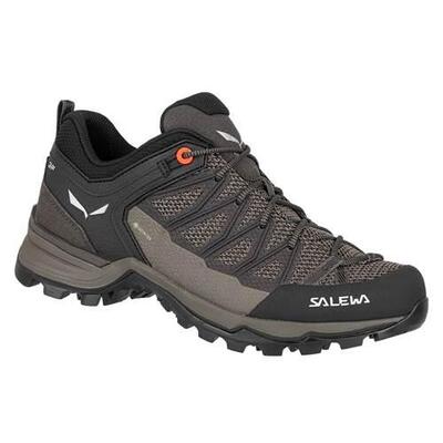 Trekking-Schuhe Frau Salewa Mtn Lite Braun