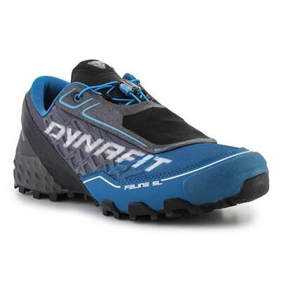 Schoenen om hard te lopen voor heren dynafit feline sl gtx carbon frost