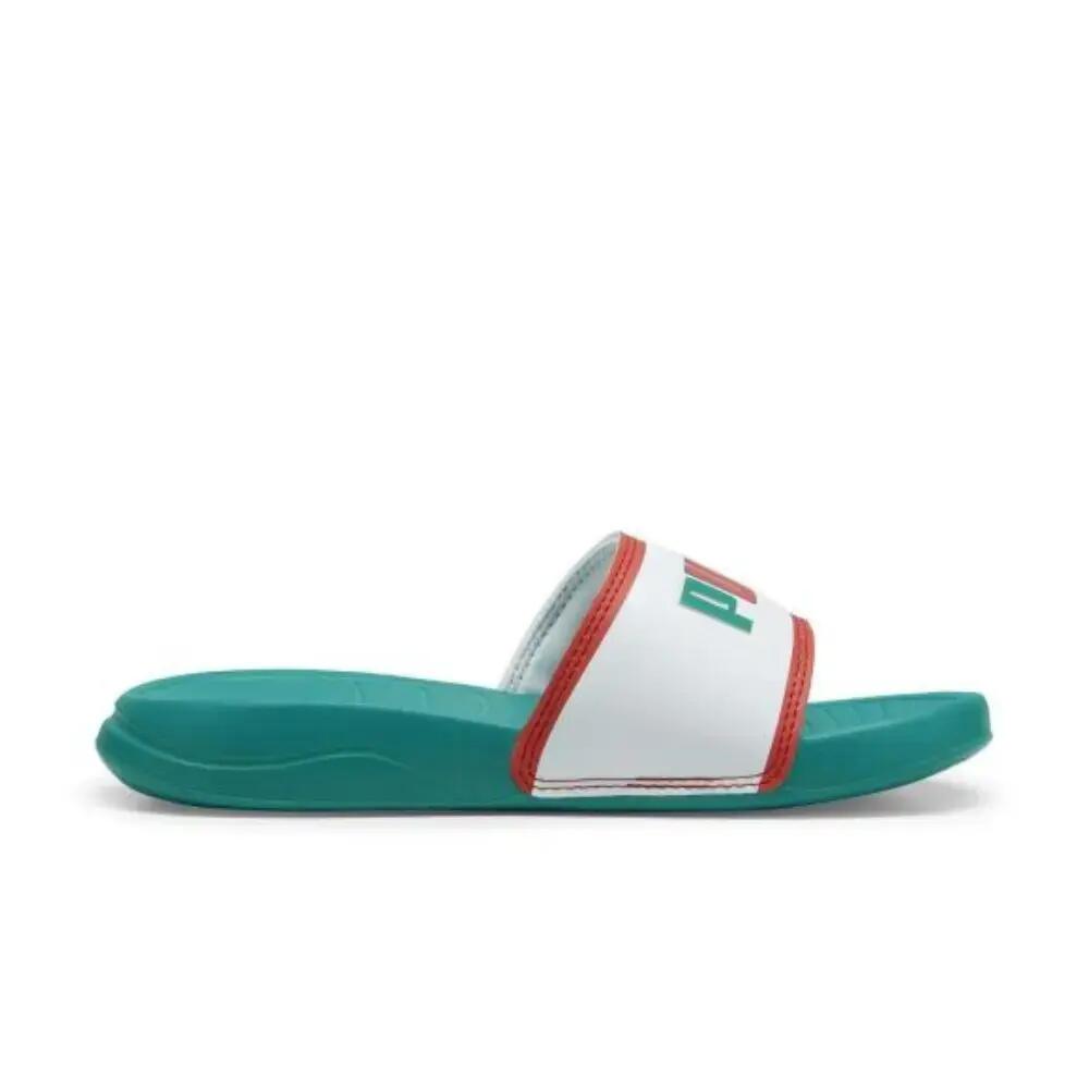 PUMA picture