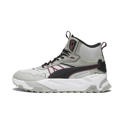 PUMA picture