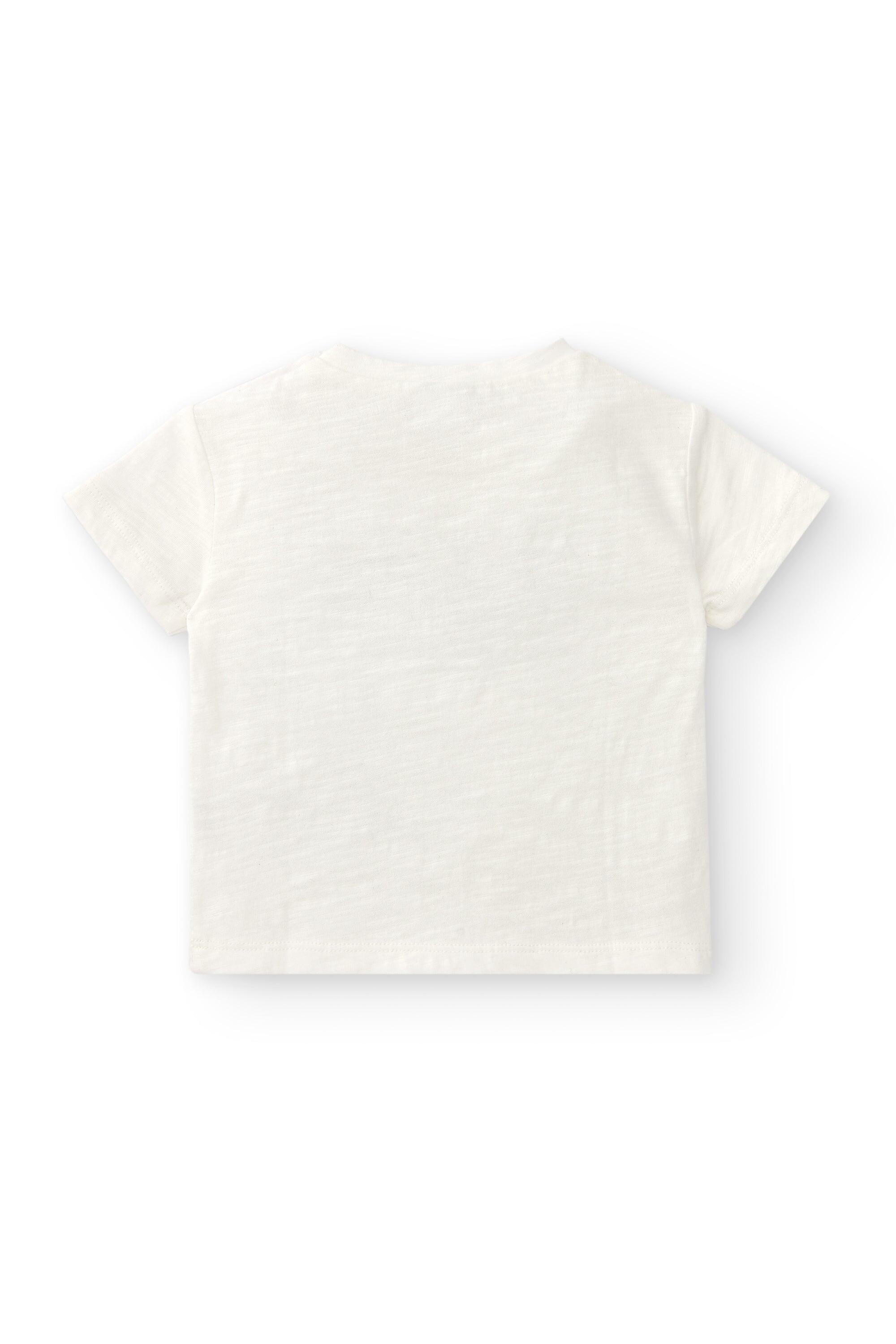 Camiseta crua para 3/5