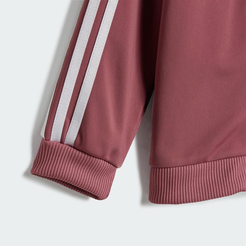 Track suit Essentials Shiny Hooded