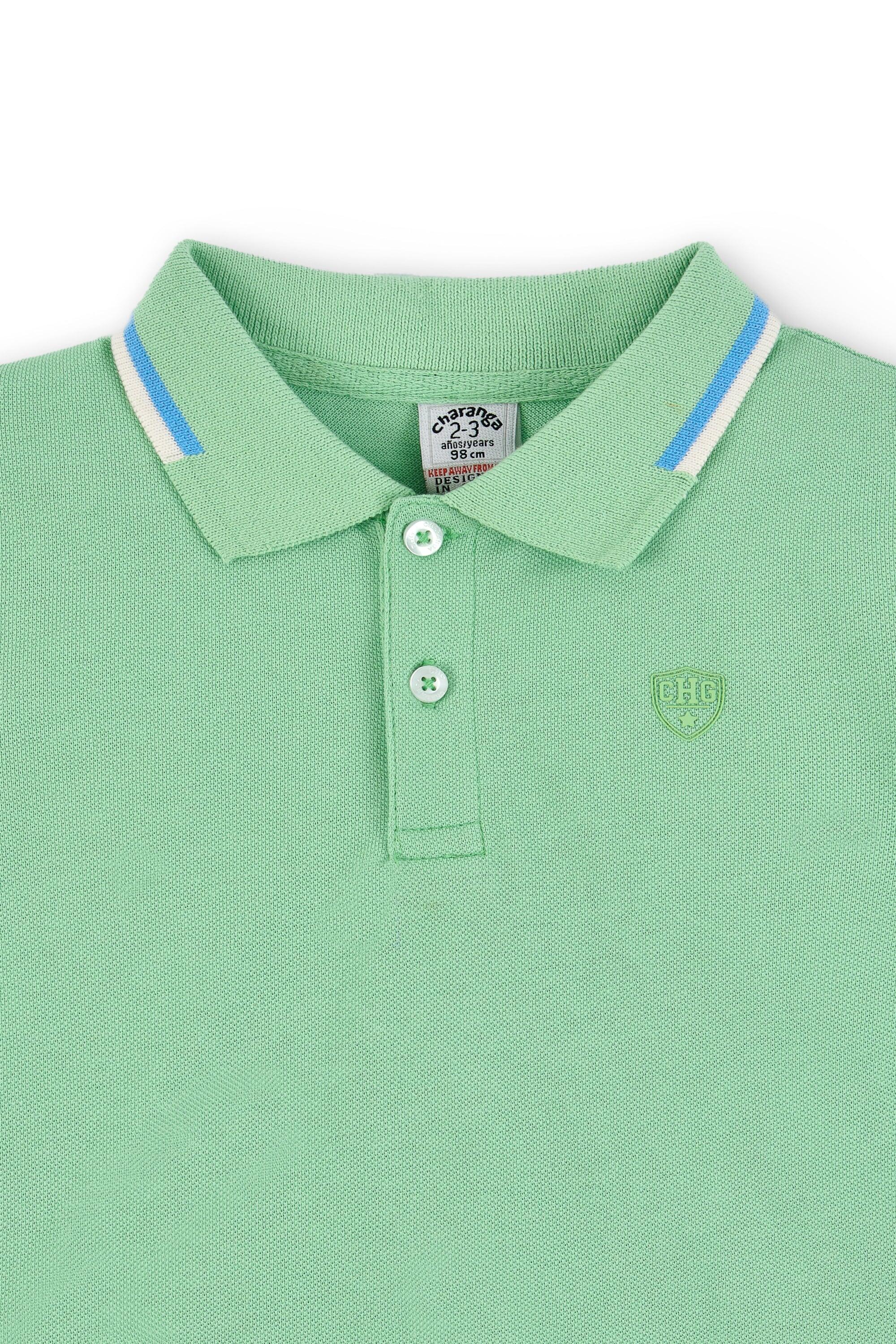 Camisa polo verde para 5/5