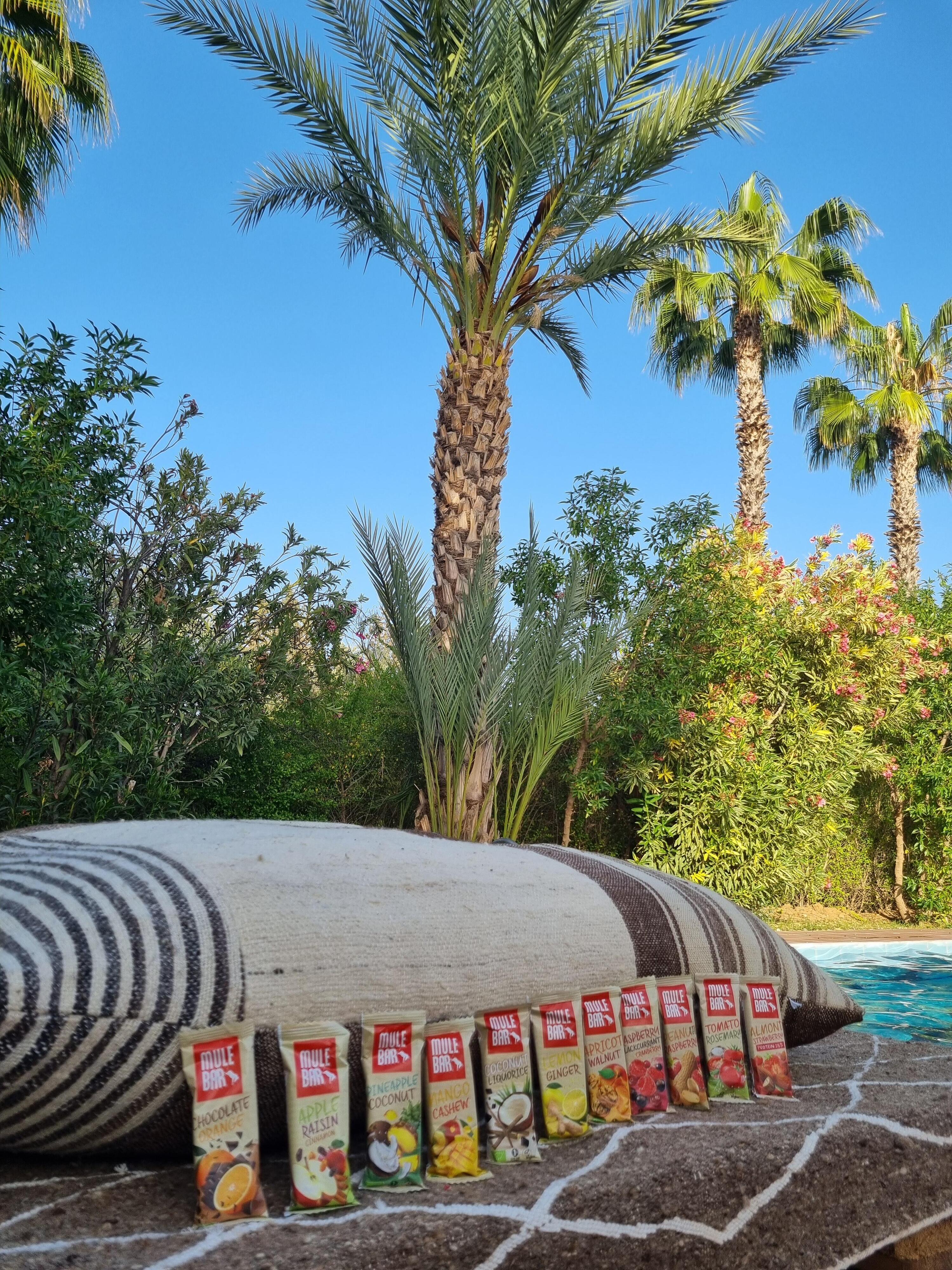 Pack découverte 10 barres énergétiques vegan 40g Mulebar 5/7