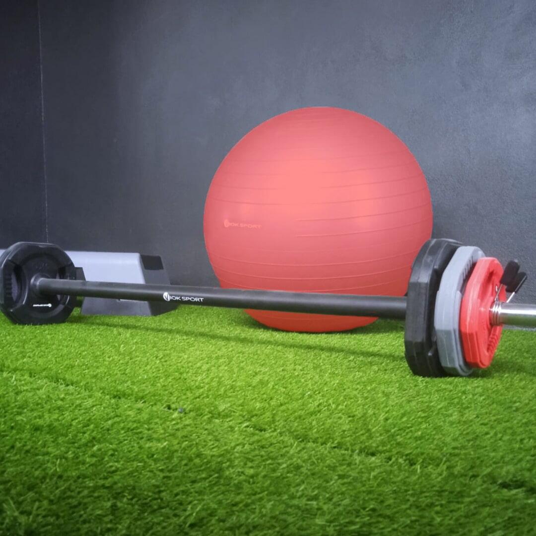 Fitball 65cm Viok Sport 3/3