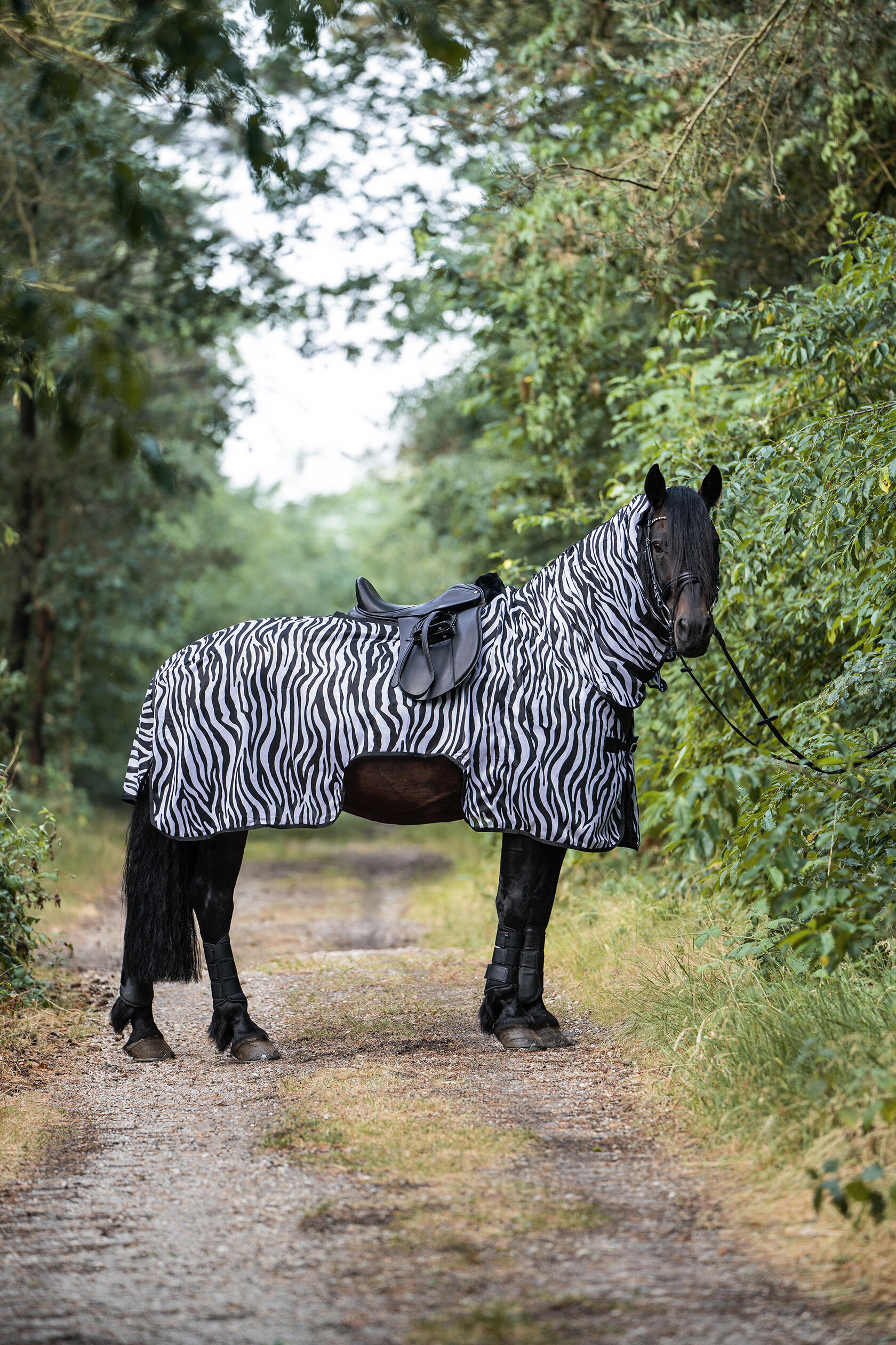 HKM Fliegenausreitdecke Zebra für Großpferd / WB Rückenl. 145 cm schwarz / weiß