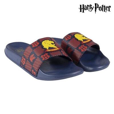 Chanclas para Hombre Harry Potter Gryffindor Multicolor