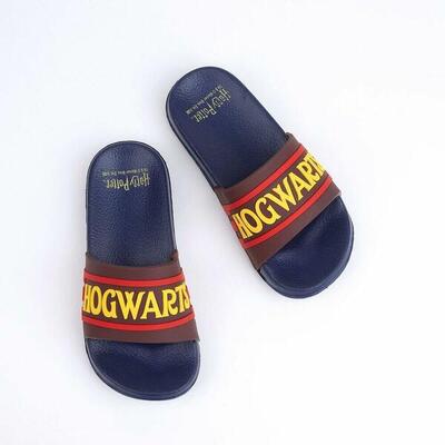 Chanclas para Niños Harry Potter Azul marino
