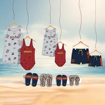 Chanclas para Niños Harry Potter Azul marino