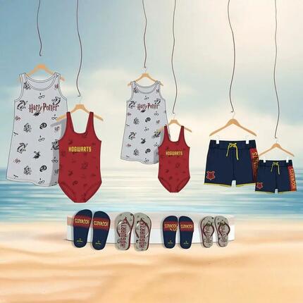 Chanclas para Niños Harry Potter Azul marino