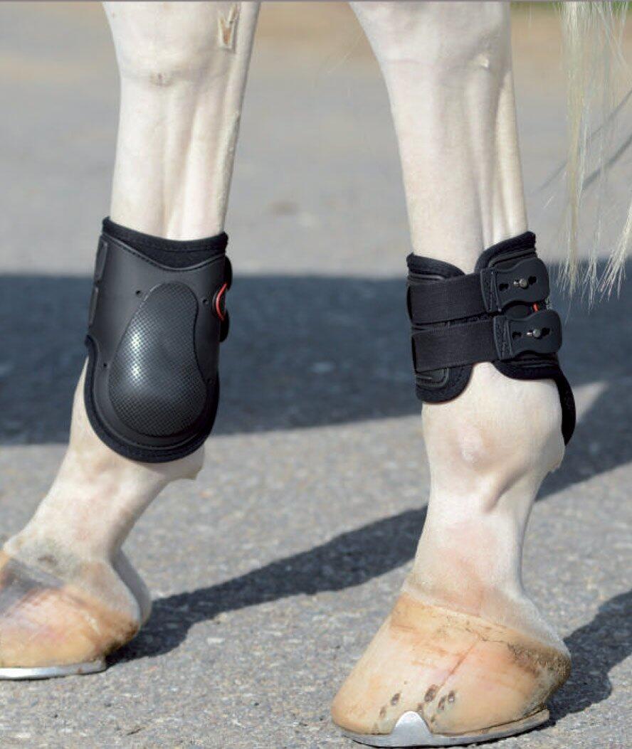 Proneoprene horse fetlock + hook Tattini Pro 2/2