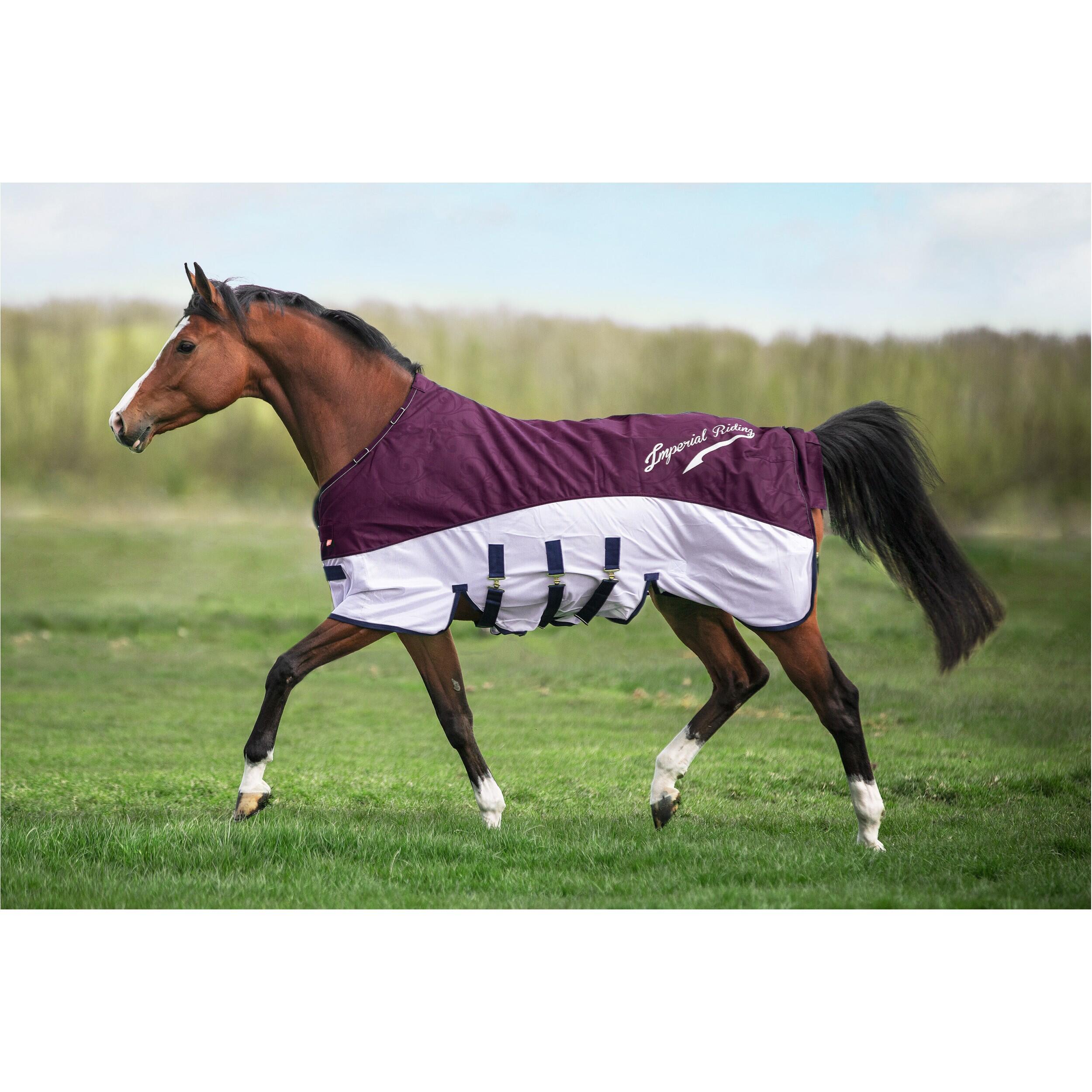 Coperta anti mosche per cavalli Imperial Riding Super-dry 3/5