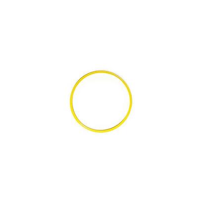 ARO Plano 40 CM Hula Hoop Evergy