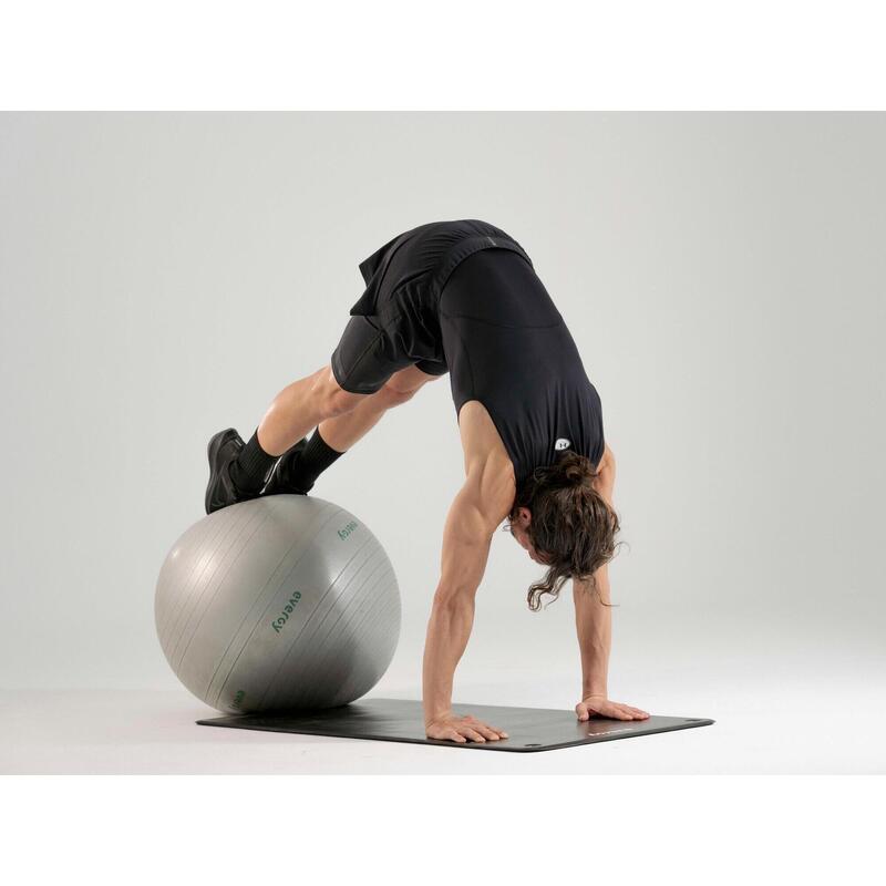 Fitball GymBall 65 cm EVERGY