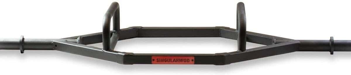 SINGULARWOD picture