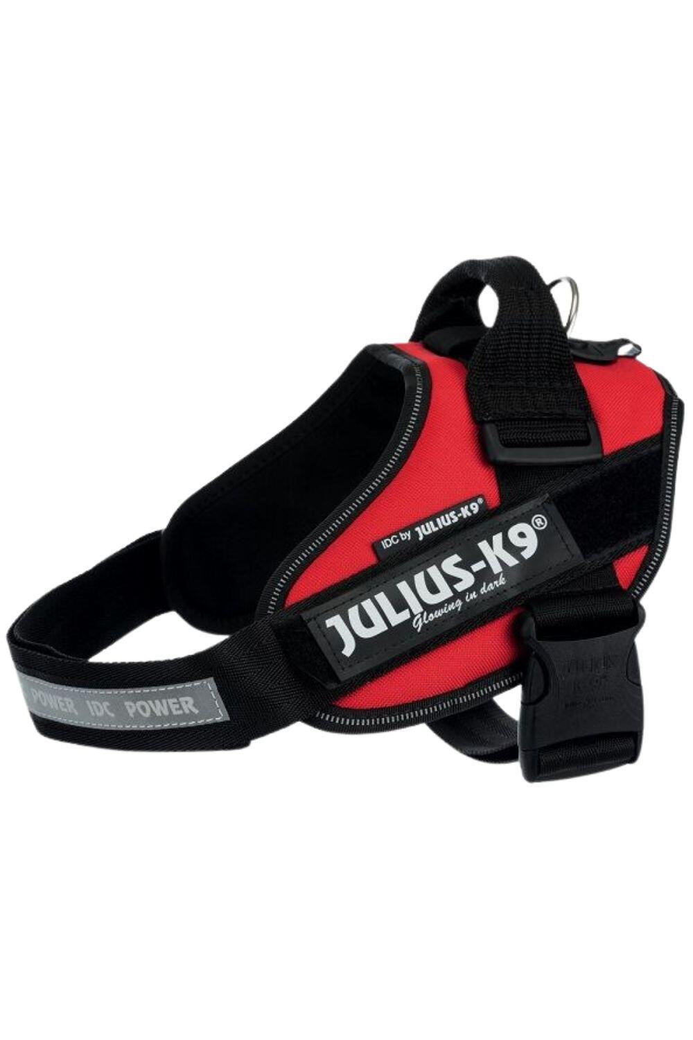 JULIUS-K9 picture