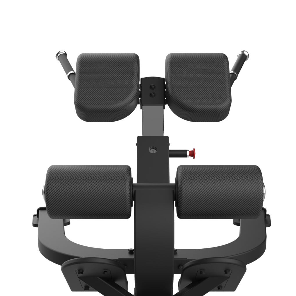 Banco de hiperextensiones profesional FBC12 Bodytone 2/7