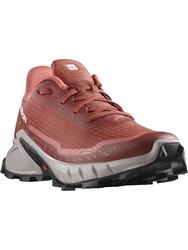 Chaussures de course Salomon modèle L47313600 pour femmes