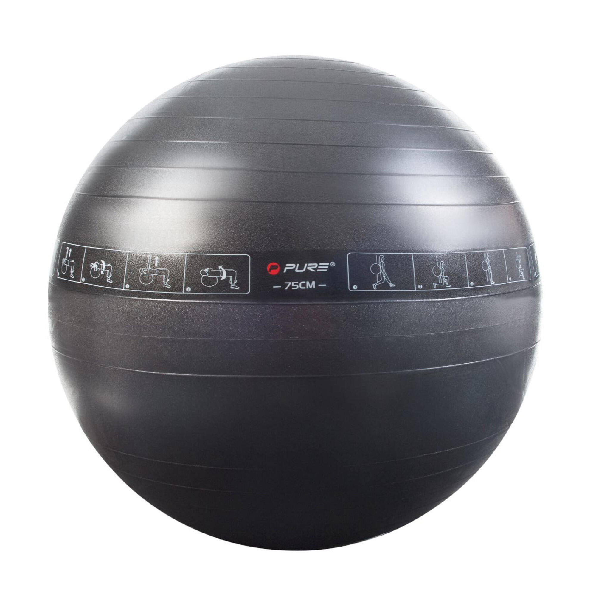 PURE2IMPROVE Verzwaarde Bal Fitness 75 Cm Instructiegrafieken