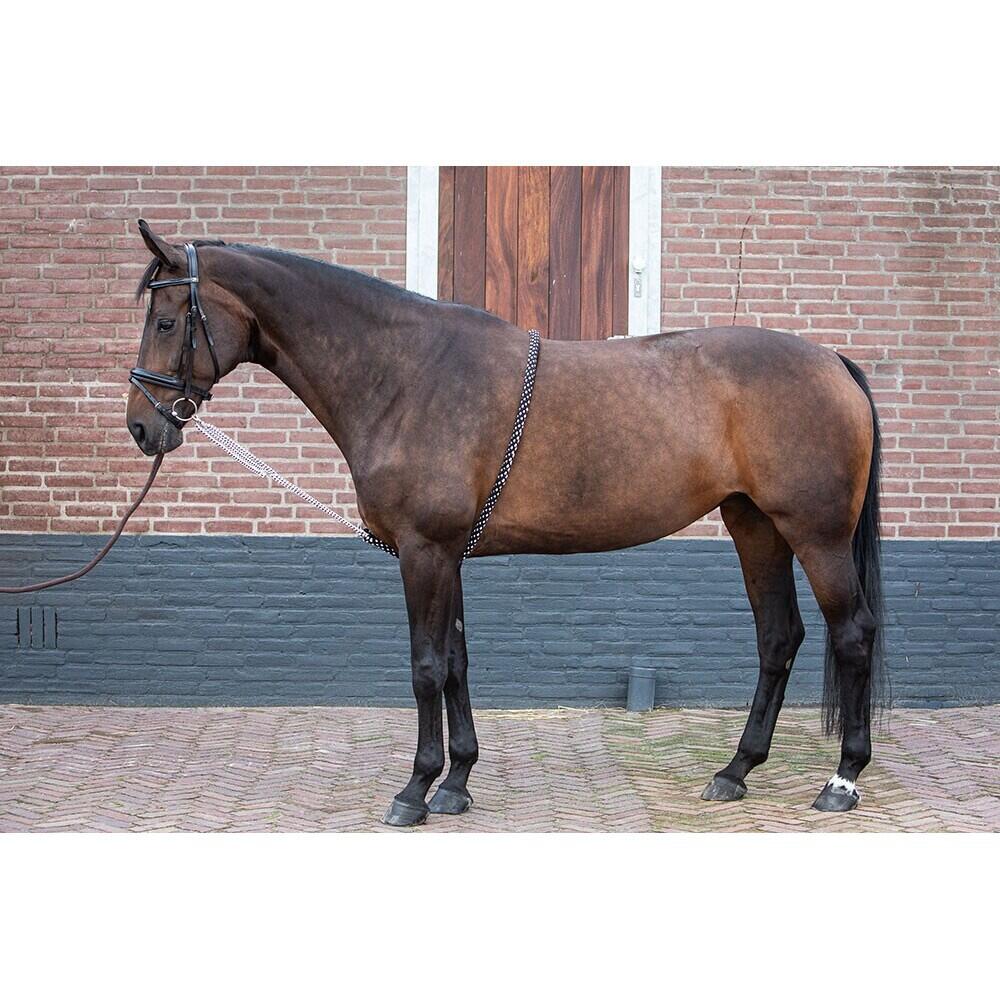 Zachte koordhulp Harry's Horse 2/2