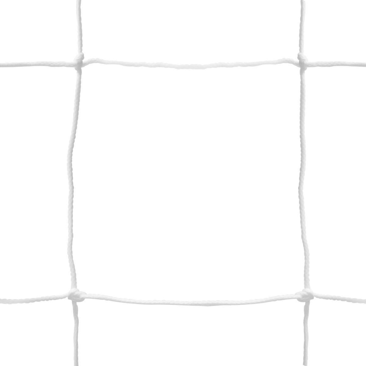 SPORTI FRANCE picture