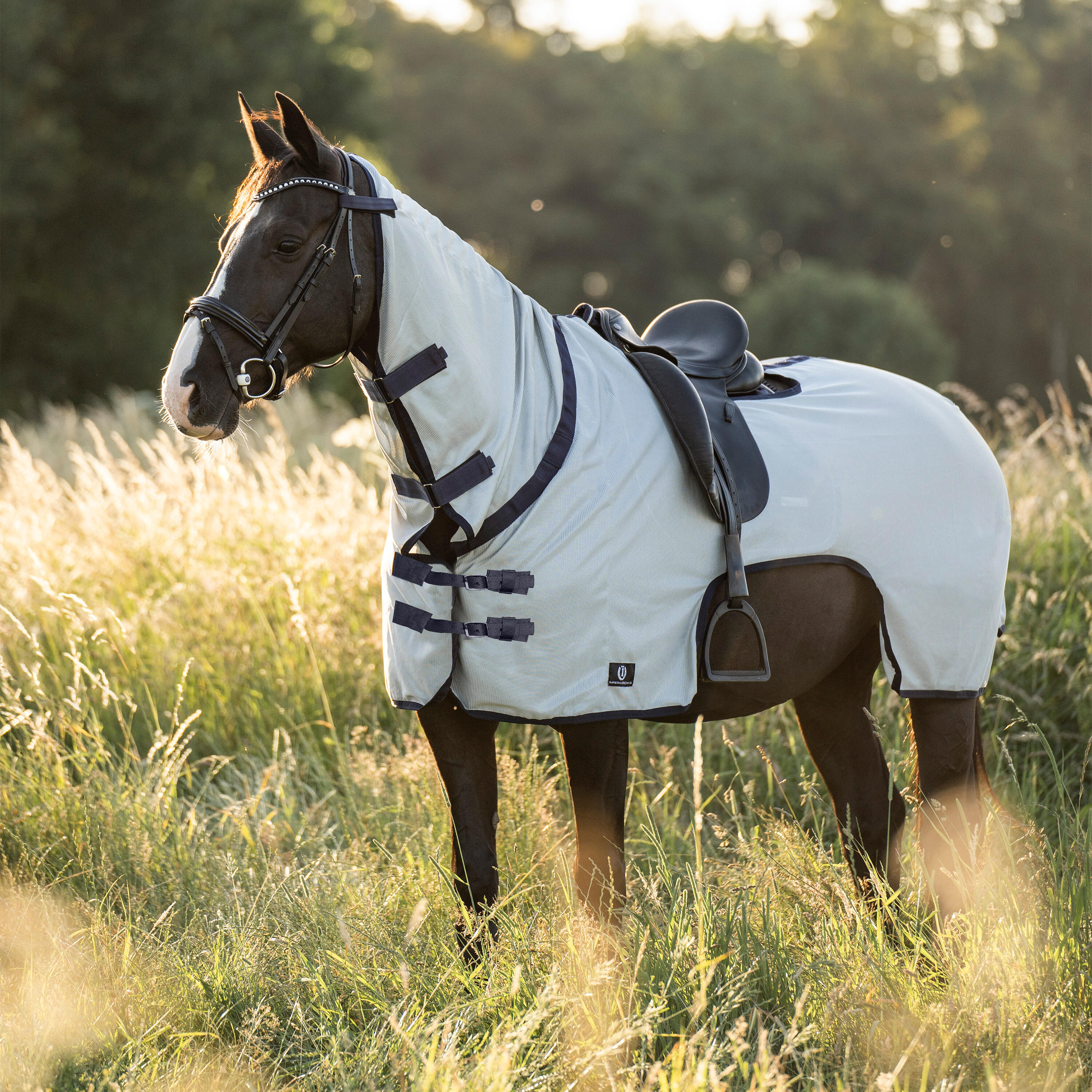 Paardendekens Imperial Riding Fly Royce 2/2