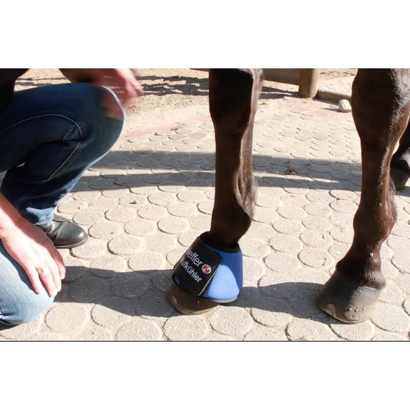 Cloches refroidissantes pour cheval Kieffer