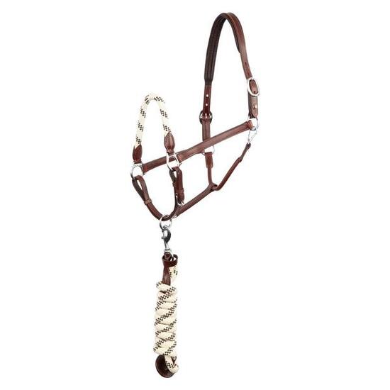 Ensemble licol et longe pour cheval en cuir BR Equitation Dundee