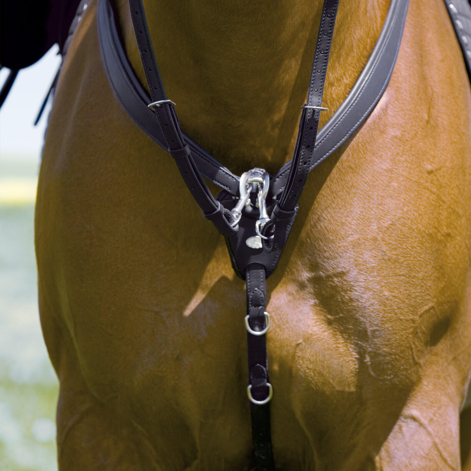 Collar de caza para caballos Kieffer Jessica 2/3