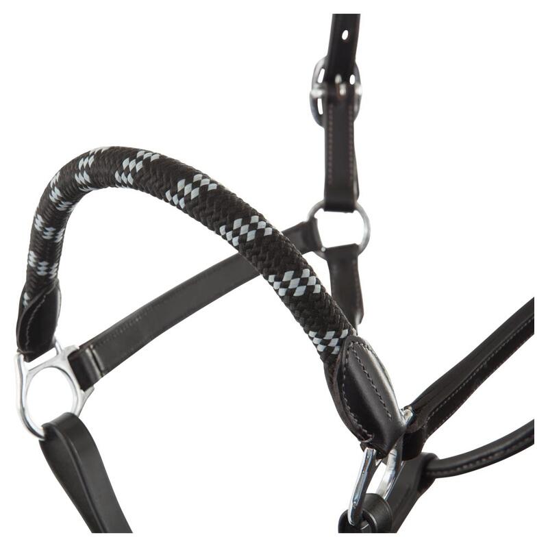 Ensemble licol et longe pour cheval en cuir BR Equitation Dundee